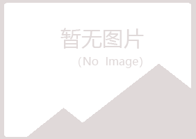 新丰县冰夏能源有限公司